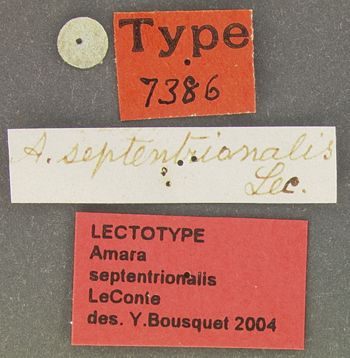 Media type: image;   Entomology 7386 Aspect: labels